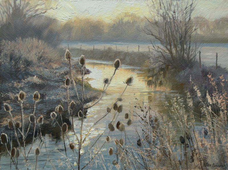 Teasels and Frost, by Peter Barker