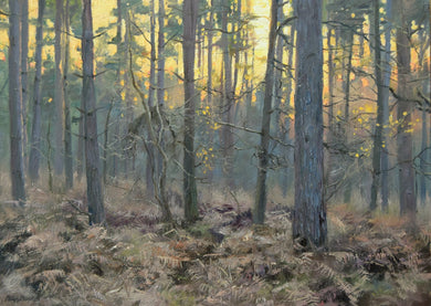 Oil painting of dusk at Wakerley Wood, with a golden sky, pines and lots of dead bracken on the woodland floor