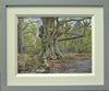 A 9 x 12 inch oil painting of a huge Beech tree in the woodland of Clumber Park near Newark, with lots of gnarled, twisting branches off an enormous trunk, path going around to the right, set in early Spring with a few bits of greenery in the background, also showing the frame with a grey outer moulding with a wide, cream inner slip.