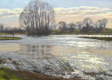 Load image into Gallery viewer, The river Nene when it burst its banks after heavy rain in Winter - tall Willows left of centre, more trees in distance and a sparkle on the water

