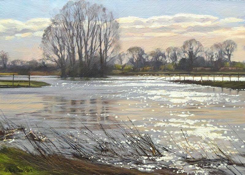 The river Nene when it burst its banks after heavy rain in Winter - tall Willows left of centre, more trees in distance and a sparkle on the water
