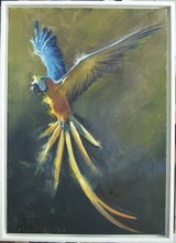 Load image into Gallery viewer, Oil painting of a Yellow Macaw in flight, in a white, floating frame
