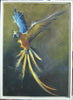 Oil painting of a Yellow Macaw in flight, in a white, floating frame