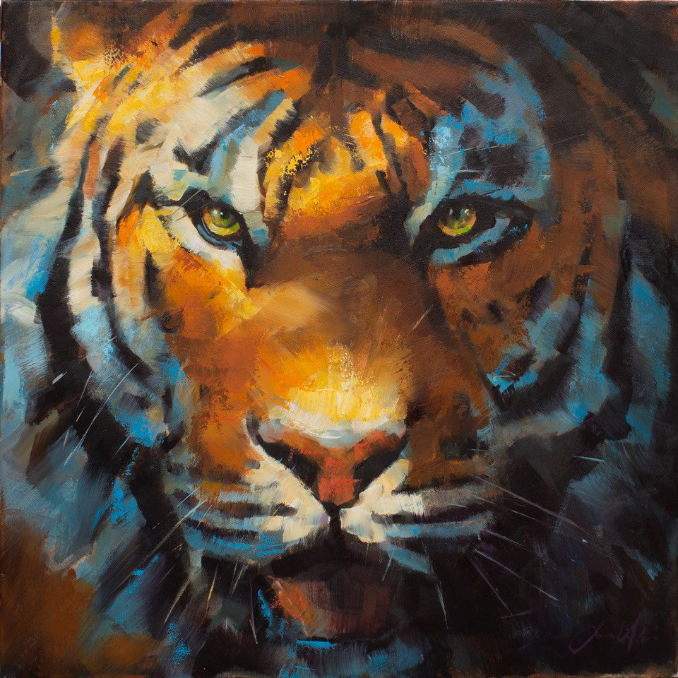 Full-on portrait of a Tiger face in oils, 24 x 24 inches, looking directly into his eyes, by Jamel Akib